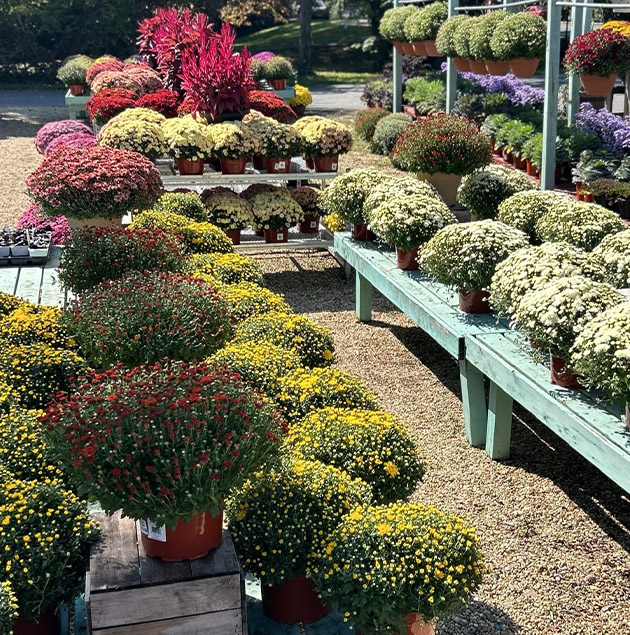 depauls-urban-farm-630x635Artboard 1 depauls-urban-farm-630x635Artboard 1